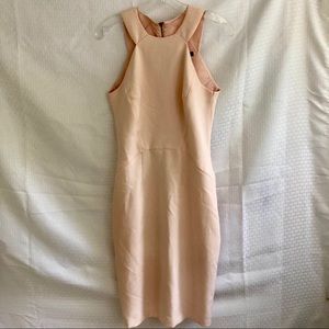 French Connection Blush Pink Dress